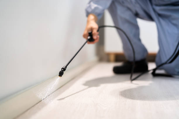 Licensed Pest Control service in Spring Valley, WI - Show Me Pest Control