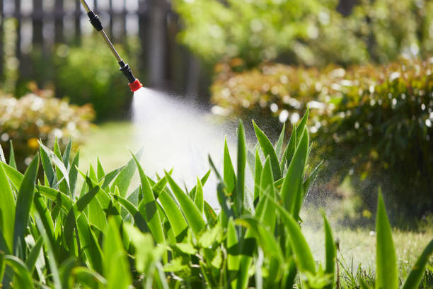 24/7 Emergency Wasp Removal experts in Spring Valley, WI
