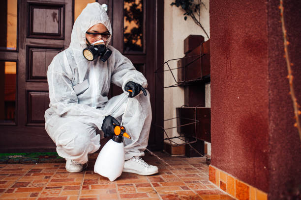 Reliable Wasp Removal contractor in Spring Valley, WI by Show Me Pest Control